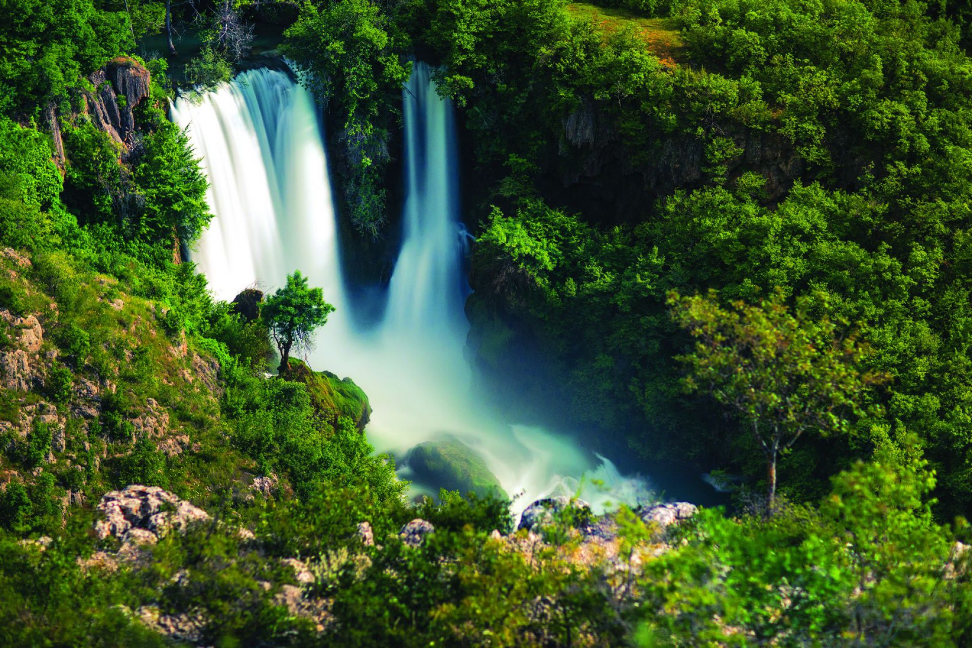 npkrka007